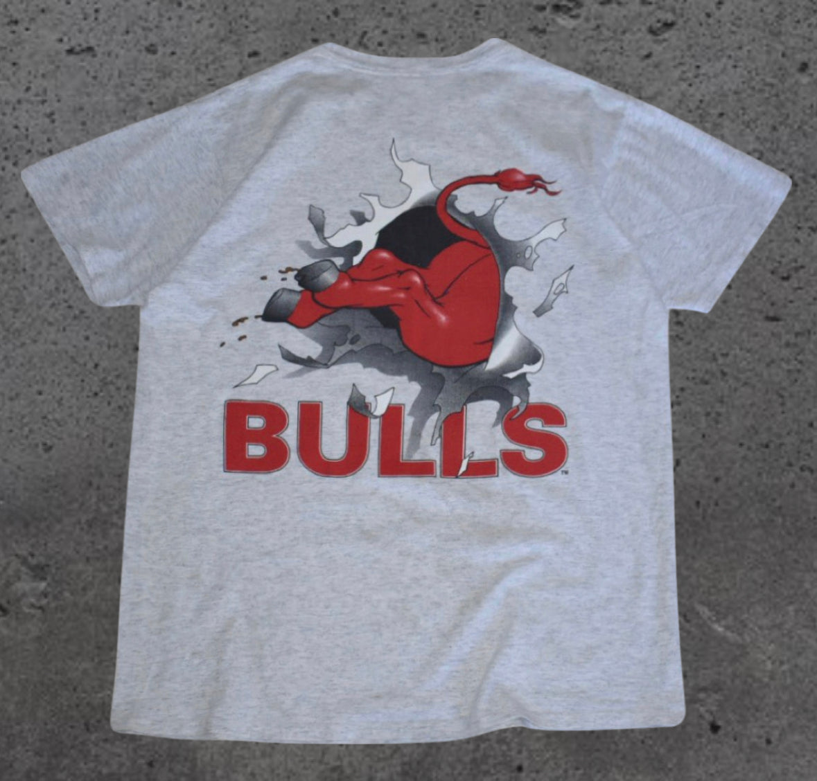 Chicago Bull Big Print AOP Tee (XL)
