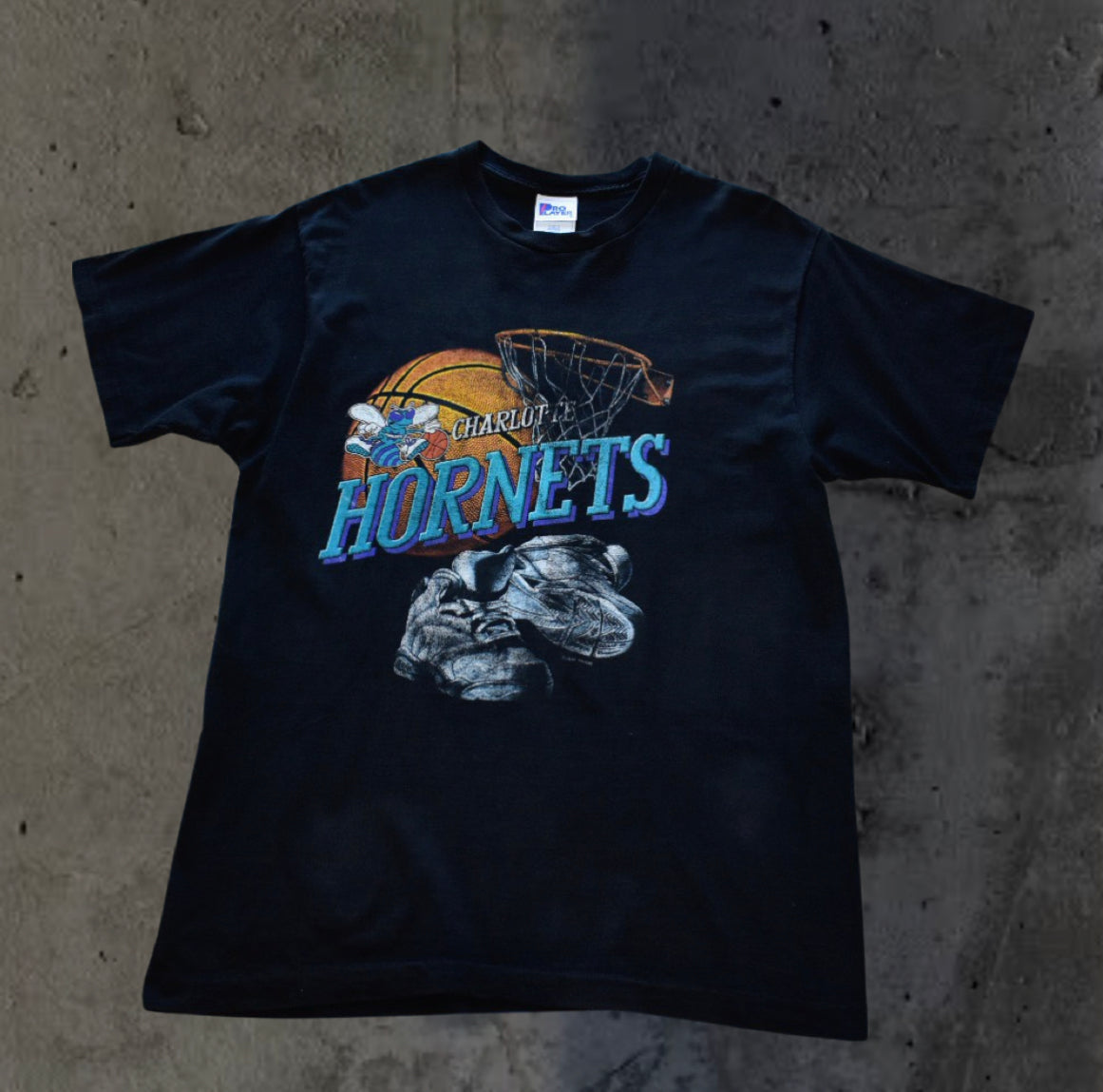 Charlotte Hornets Backboard Tee (XL)